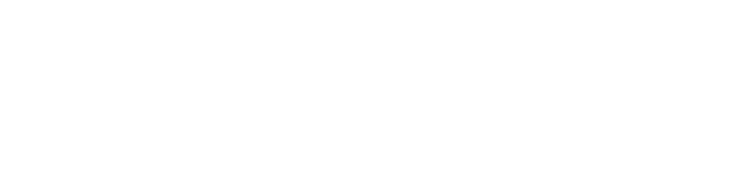 Sécurité des festivités | édition 2020